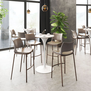 Ace Modern Brown & Walnut Bar Stool (Set of 2)
