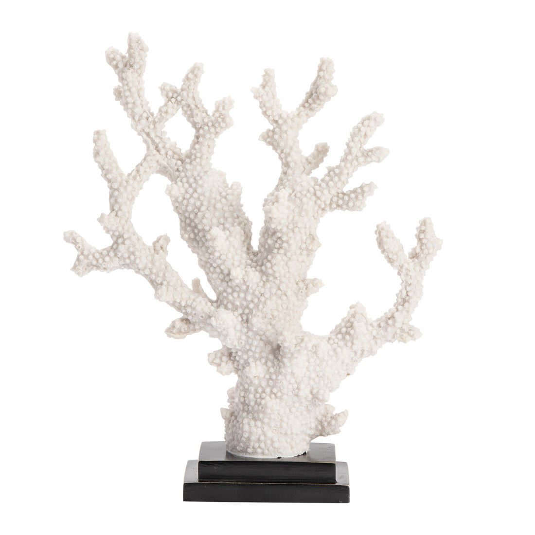 Natural Coral Statue contemporary wall art displayed in a minimalist interior setting